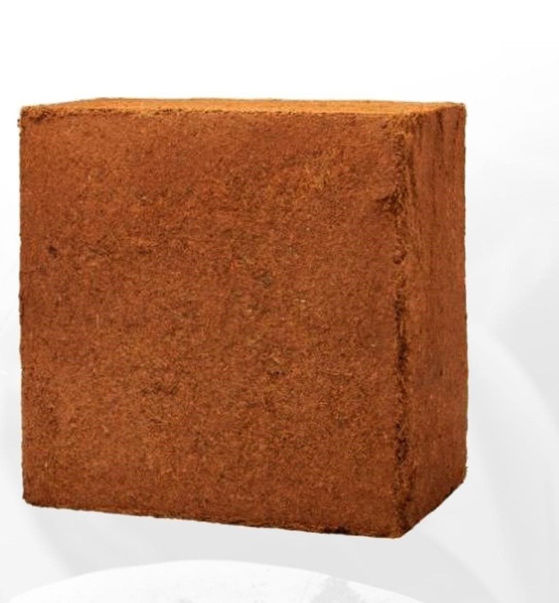 5 kg Coco Pith Block